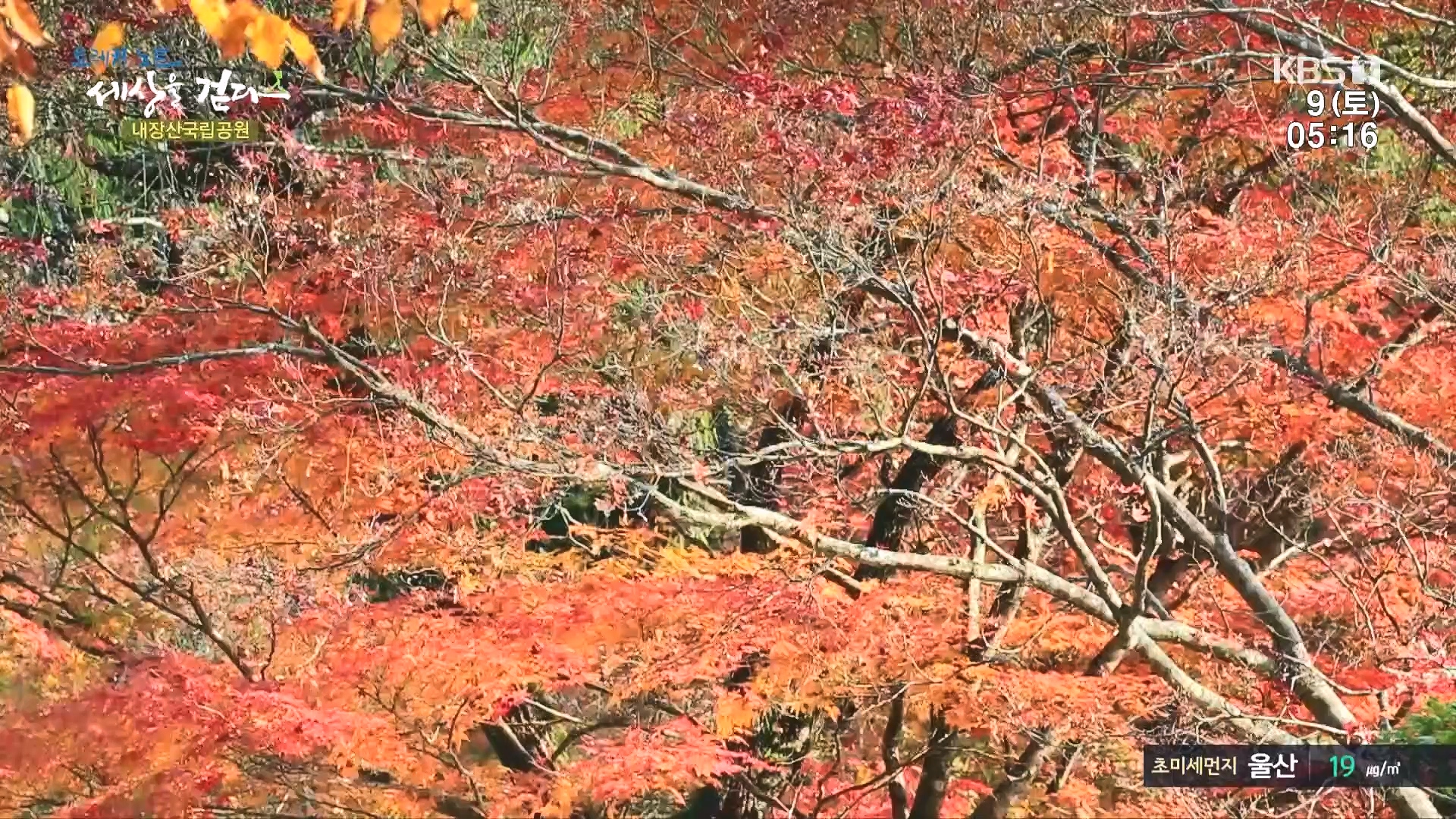 트레킹노트 세상을 걷다.E298.231209p.H264-F1RST.mp4_20240105_205419.269.jpg