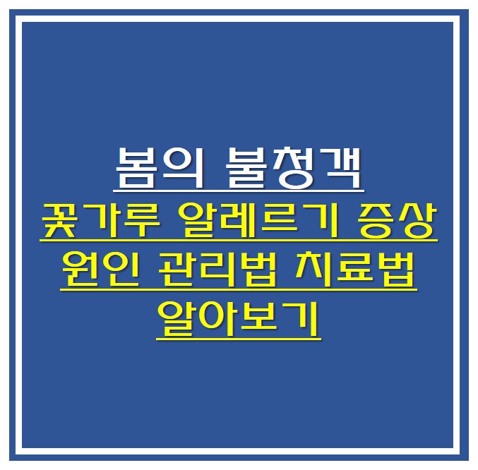 꽃가루 알레르기 관련 썸네일 사진