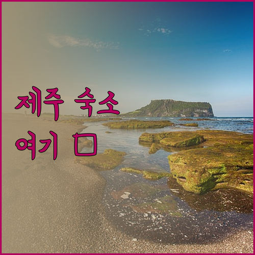 제주 여행 숙소 고민 끝! 가성비 &