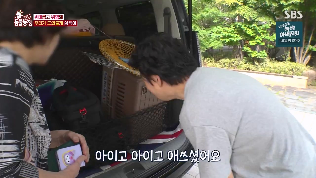 TV 동물농장.E1143.231030p-NEXT.mp4_20231029_164143.538.jpg