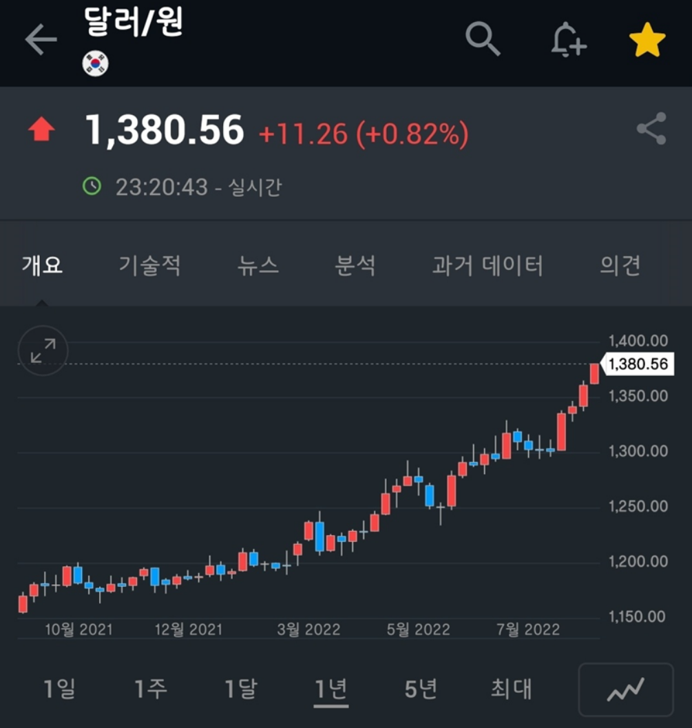  엔화 투자