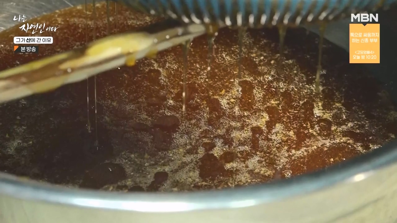 나는 자연인이다.E575.231012p-NEXT.mp4_20231012_200957.241.jpg