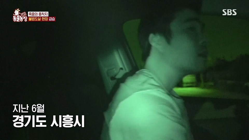 TV 동물농장.E1129.230716p.H264-F1RST.mp4_20230716_183634.397.jpg