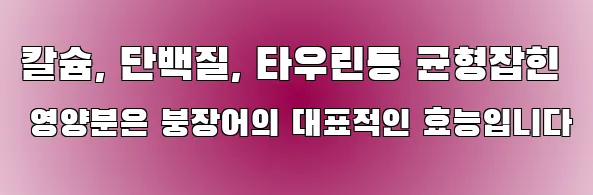 칼슘, 단백질, 타우린등 균형잡힌 영양분은 붕장어의 대표적인 효능입니다