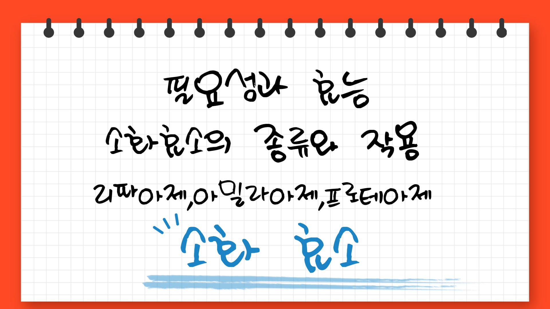  소화효소의 종류와 필요성