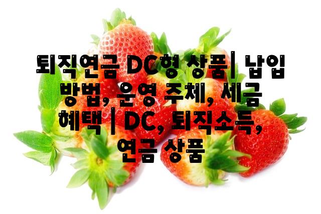 랜덤205