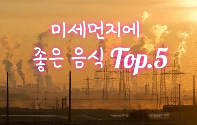  미세먼지에 좋은 음식 Top.5