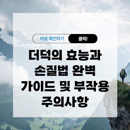 더덕 효능 및 부작용 주의사항 그리고 손질법 알아보기