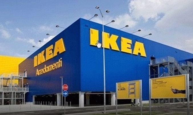 그리고 유래를 알아봅니다. 메기 효과의 의미와 의미 3