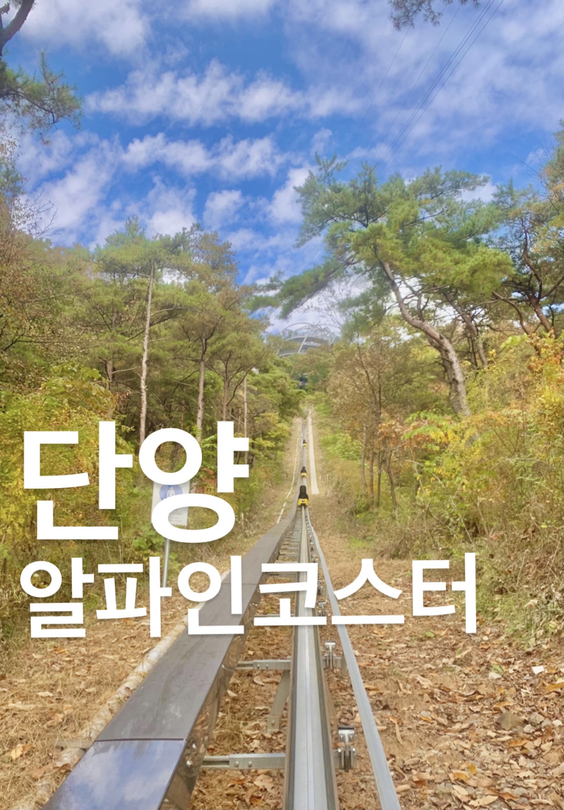  [단양 여행] 알파인코스터