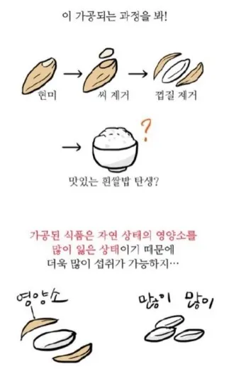 탄수화물 많은음식 적은음식_17