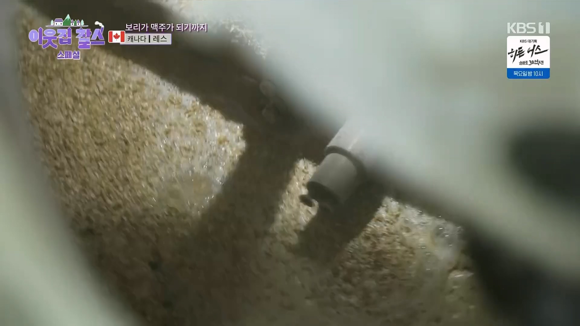 이웃집 찰스.E378.230307p.H264-F1RST.mp4_20230308_202226.921.jpg