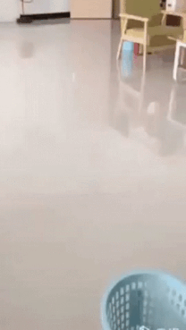  [웃는하루]일단 일루와~~
