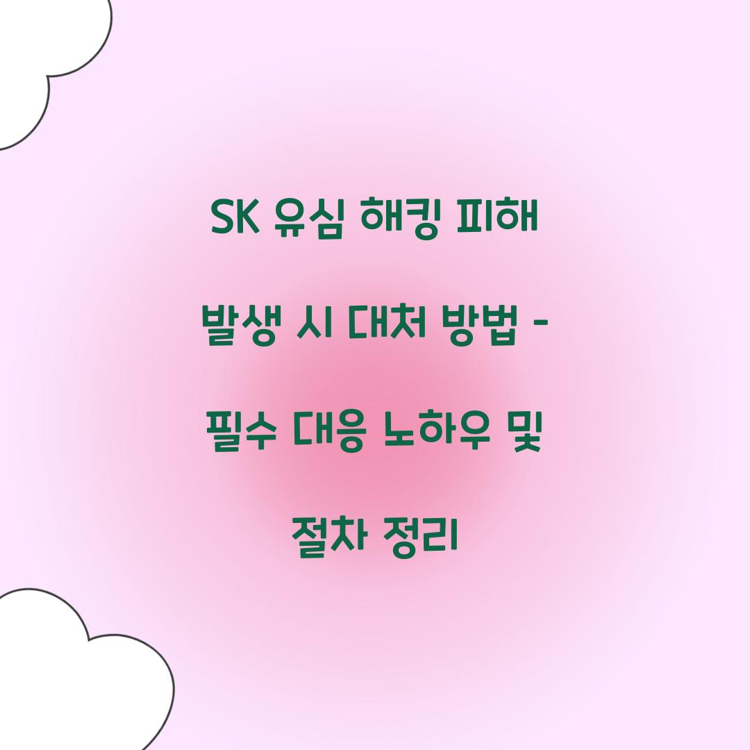 SK 유심 해킹 피해 발생 시 대처 방법