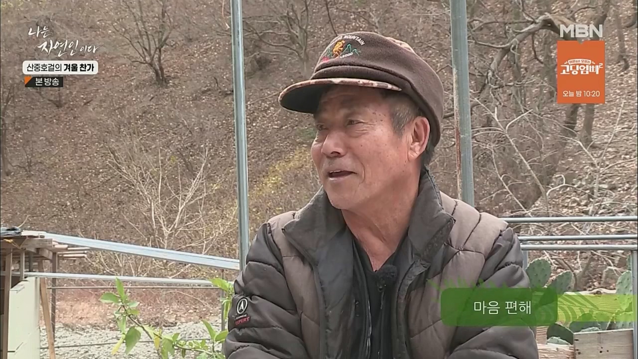 나는 자연인이다.E533.221222p.WANNA.mp4_20221222_194230.880.jpg