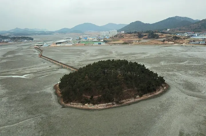 부사도(거북섬) 전경
