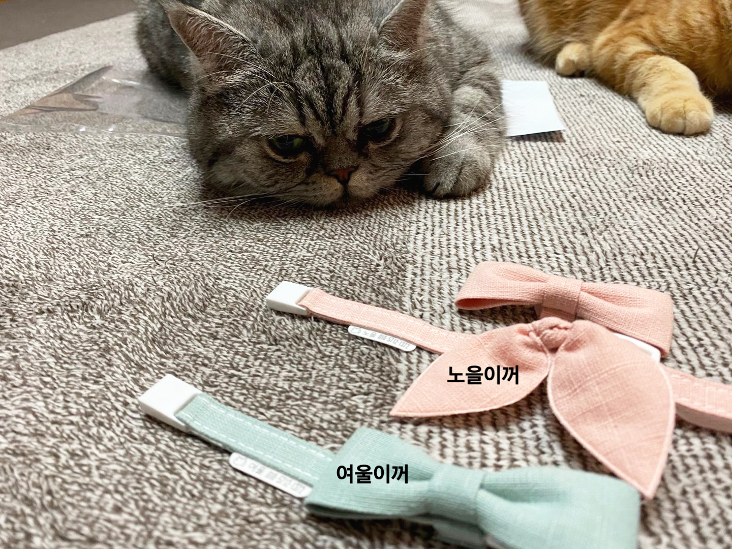  엠몰리 고양이 안식표 수제 목줄