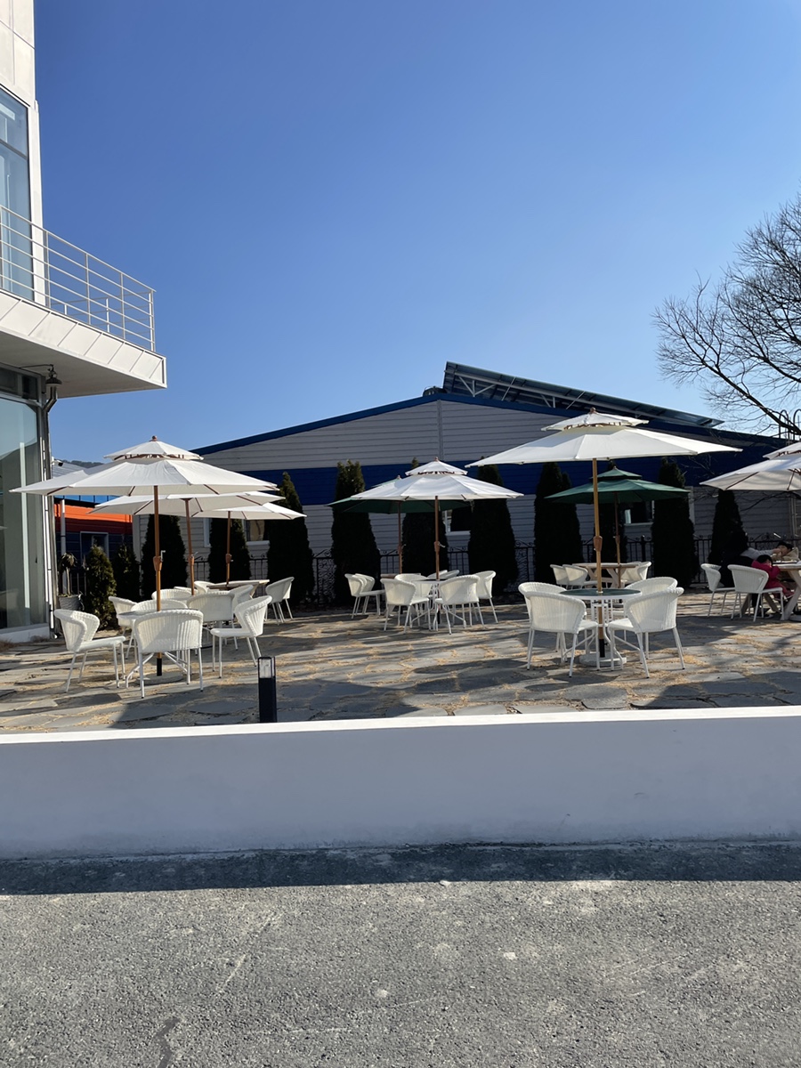 사랑 <느티나무의 > 16