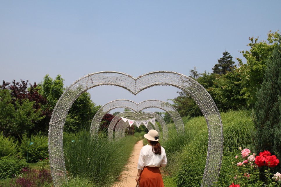 하얀장미궁전, 55