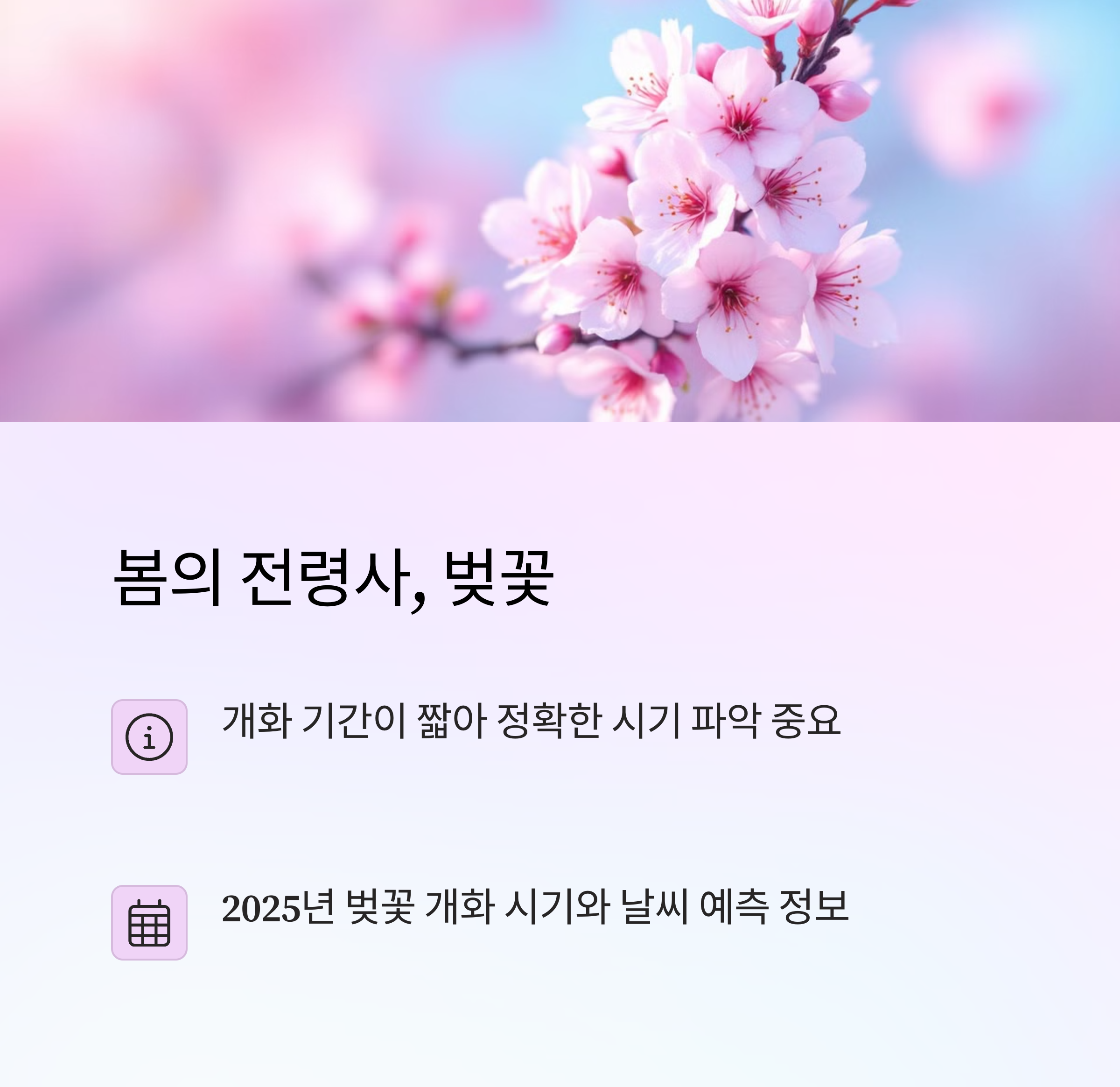 2025년 벚꽃 개화 시기 &amp; 날씨 예측