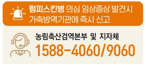 럼피스킨병_의심증상_신고