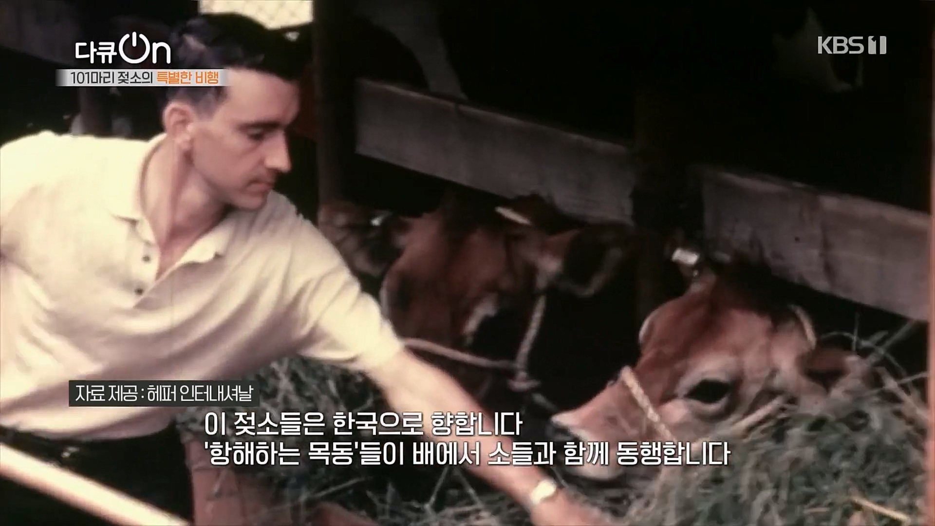 다큐 On.E184.230203p.H264-F1RST.mp4_20230211_173504.409.jpg