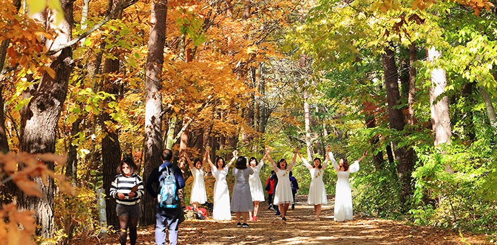 설악산 단풍
