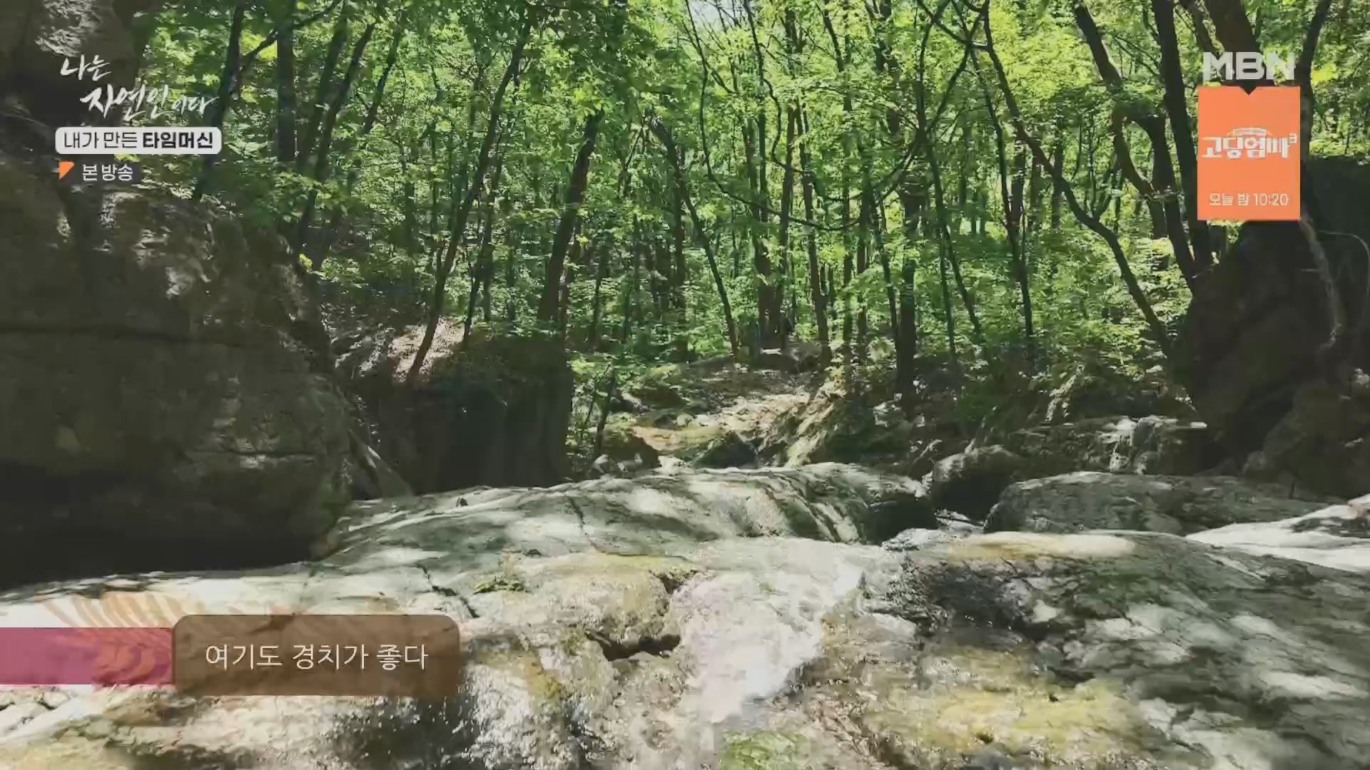 나는 자연인이다.E555.230524p.H264-F1RST.mp4_20230526_212808.037.jpg