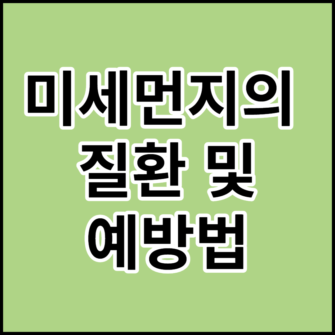  미세먼지의 질환 및 예방법