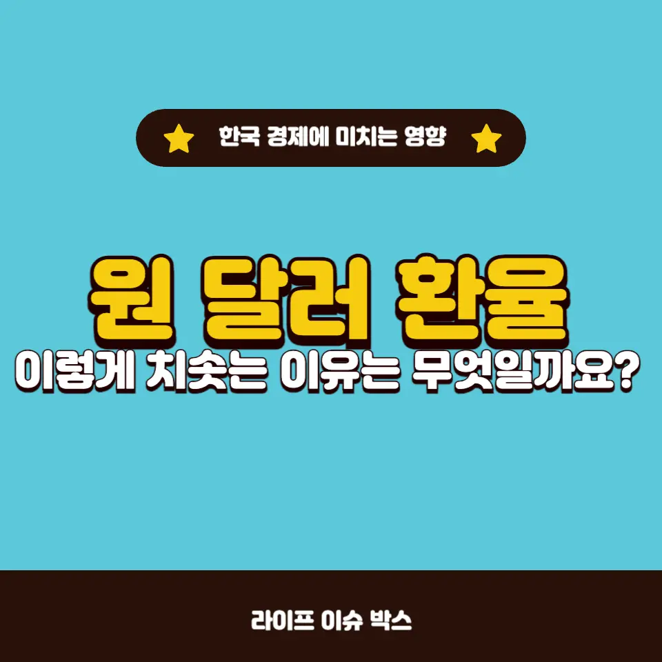 트럼프 대통령 당선 이후 원·달러 환율이 급등한 이유