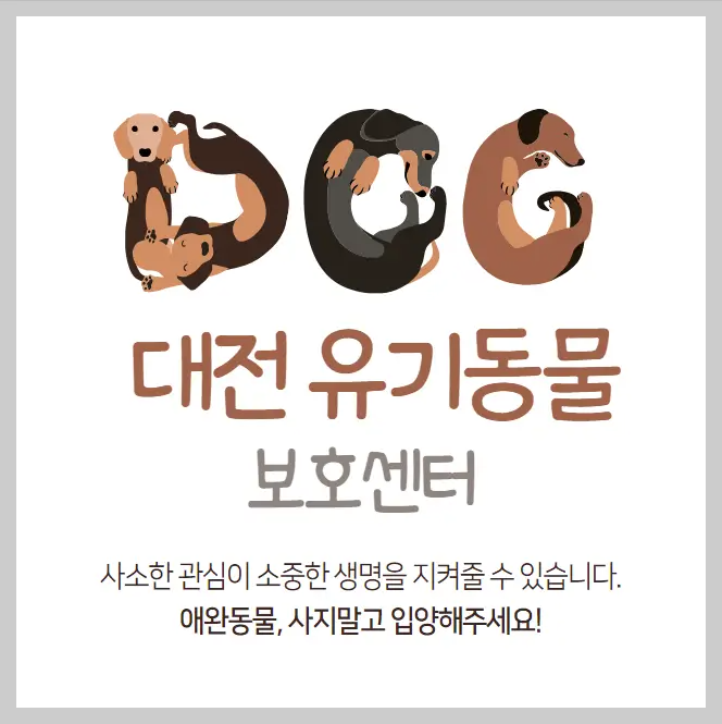 대전-유기동물보호센터-강아지-고양이-유기동물보호소