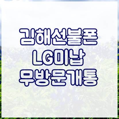  김해선불폰 LG미납 무방문으로 개통하기