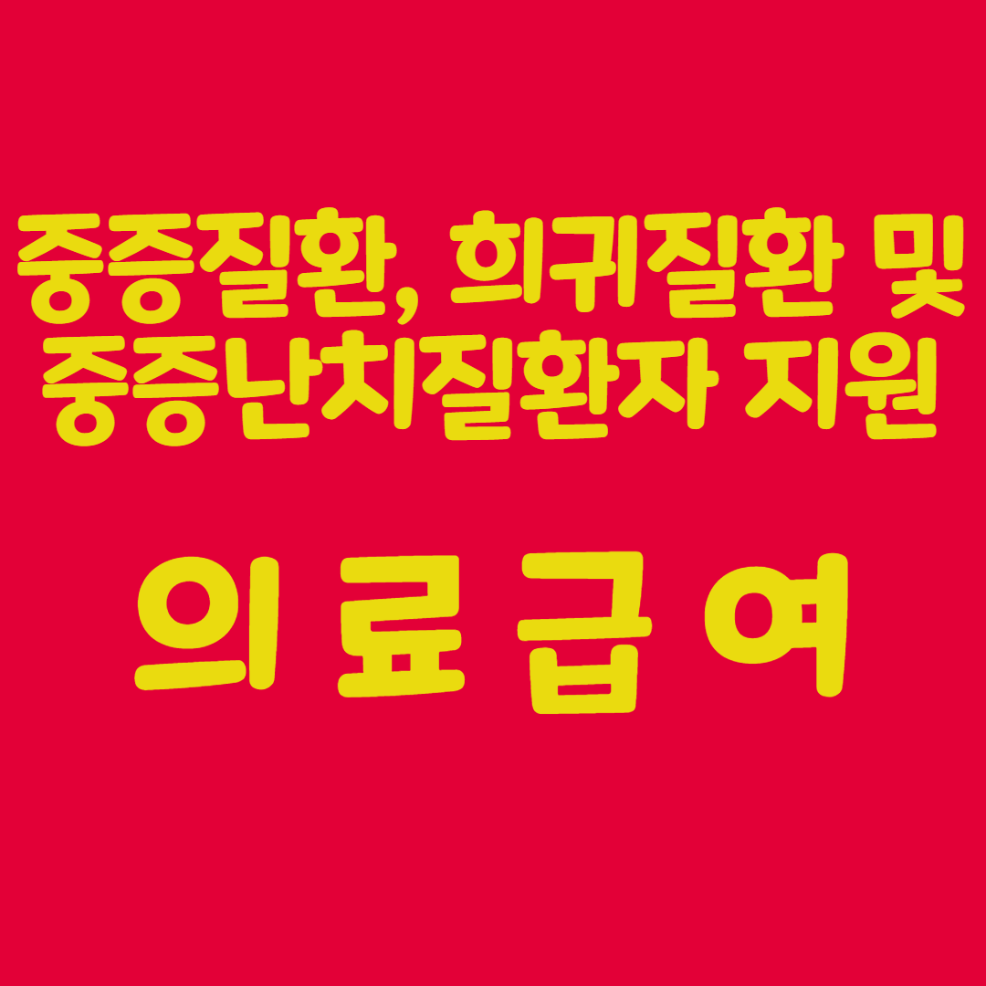 의료급여