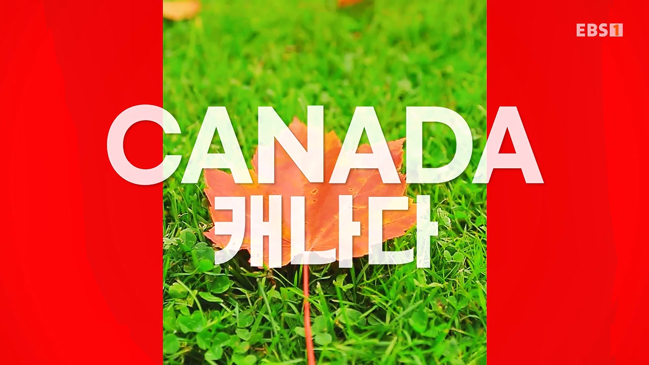 세상의모든기행꿈꾸던 가을로 캐나다 동부-다시 올 이유, 단풍국.mp4_20231127_202221.695.jpg