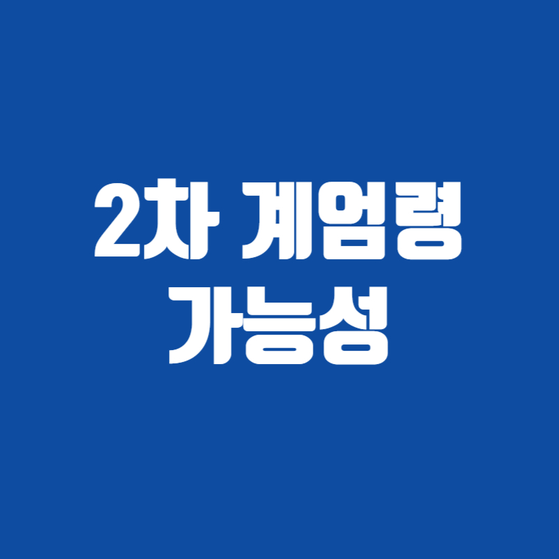 2차 계엄령 가능성