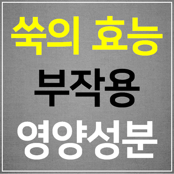  쑥 효능 10가지 완벽 정리 (부작용 영양성분)
