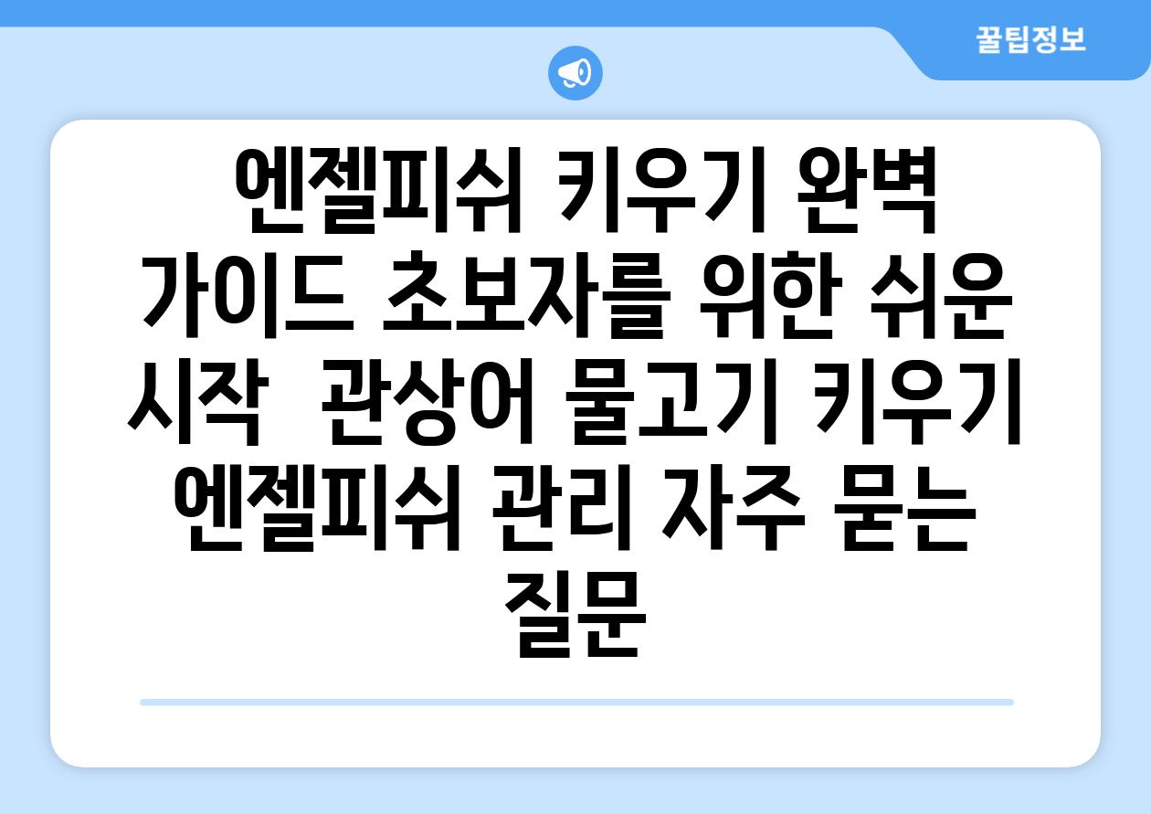 ## 엔젤피쉬 키우기 완벽 가이드| 초보자를 위한 쉬운 시작 | 관상어, 물고기 키우기, 엔젤피쉬 관리