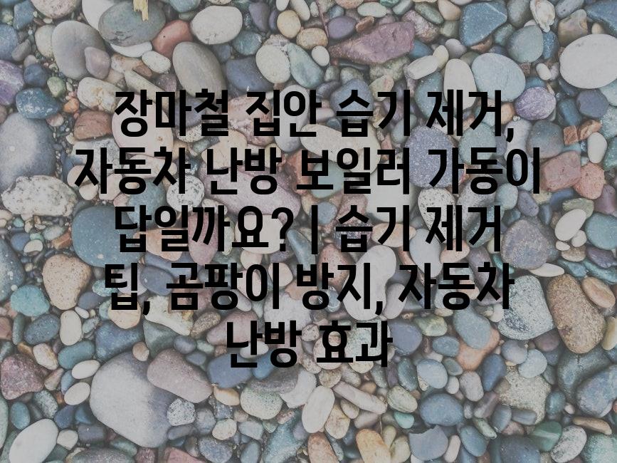 샘플 (82)