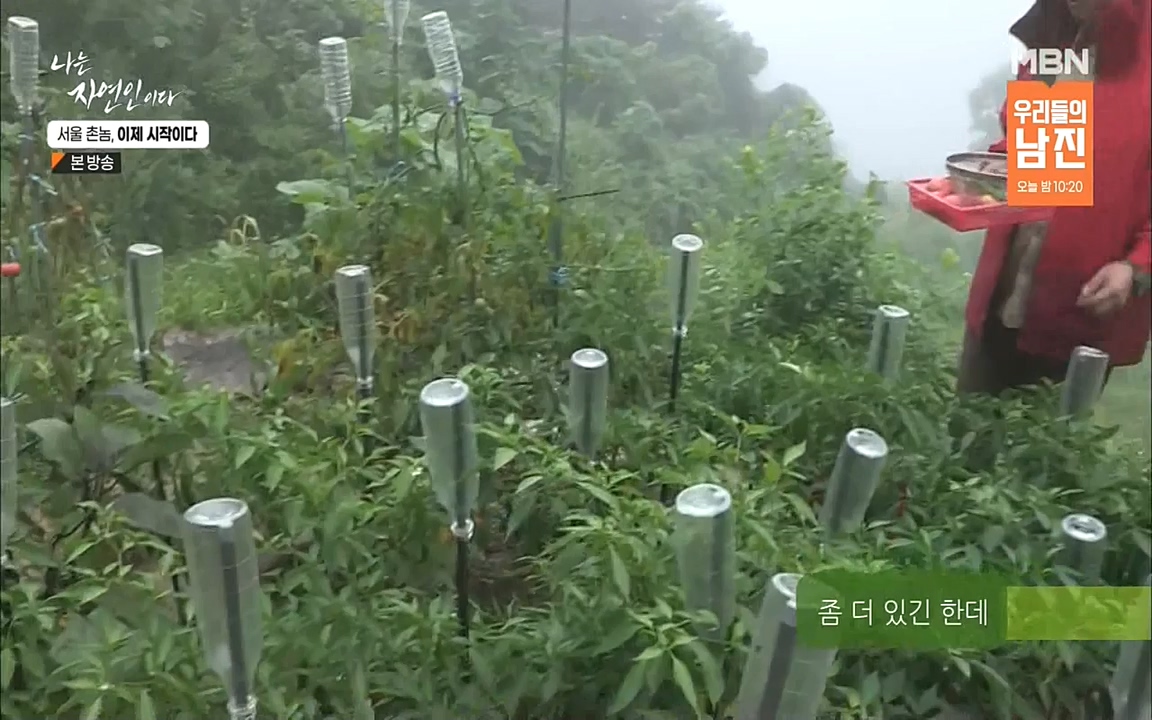 나는 자연인이다.E521.220928.H265p-BULDU.mp4_20220930_210332.000.jpg