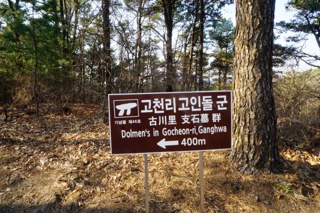 고천리 고인돌 가는 길 400m&#44; 진한 보라색 바탕에 흰글씨&#44; 뒤로는 소나무 숲&#44;