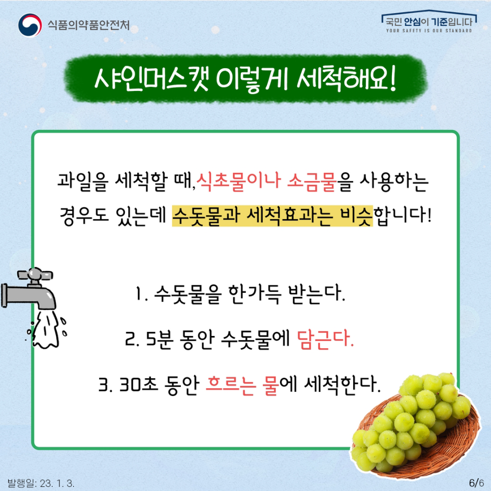 샤인머스캣 세척 팁