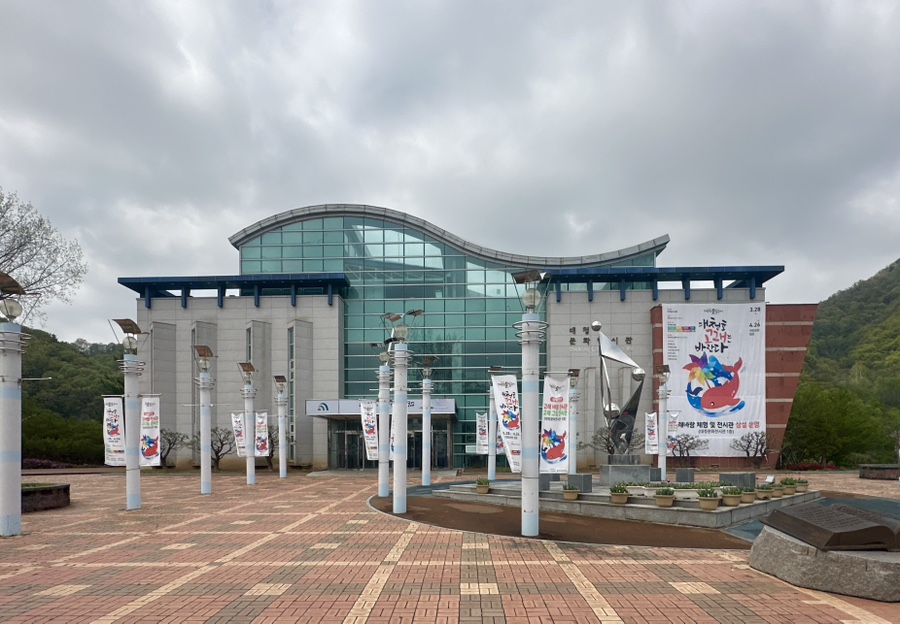 대전 대덕 물빛 축제