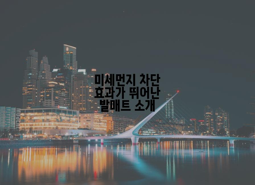미세먼지 차단 효과가 뛰어난 발매트 소개