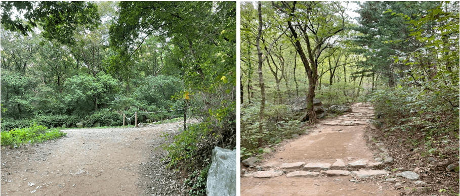 청계산 풍경사진