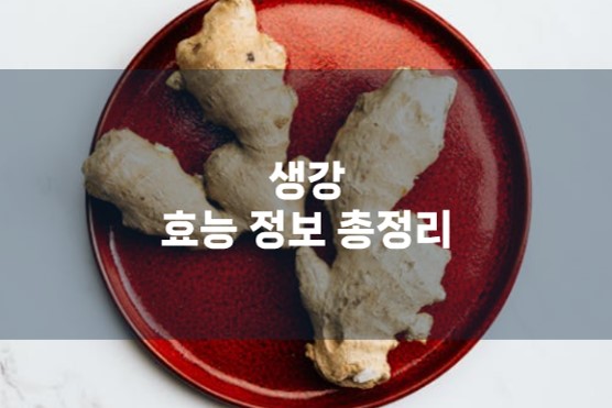 생강 효능 정보 총정리