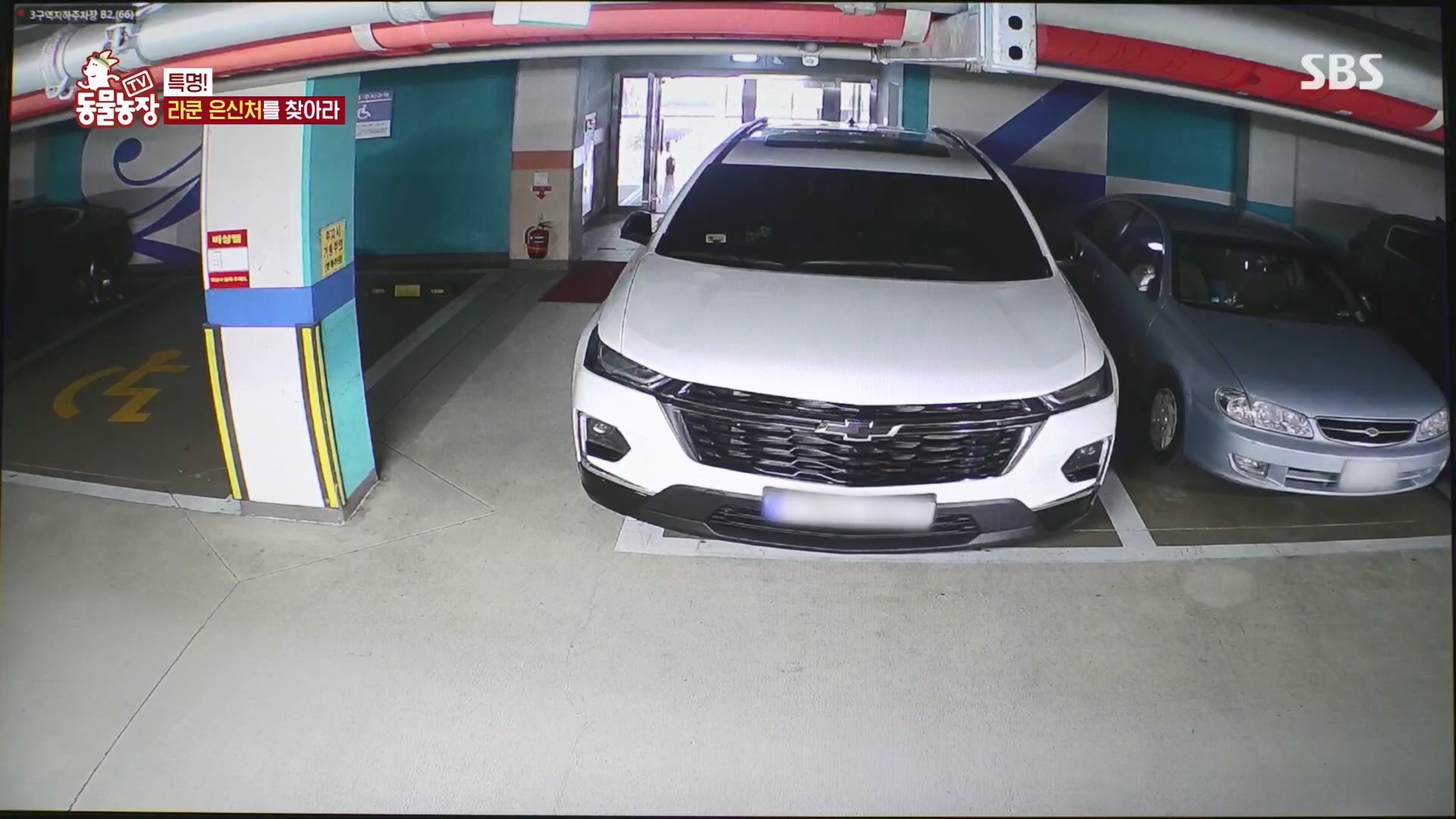 TV 동물농장.E1170.240505p.H264-F1RST.mp4_20240505_153759.435.jpg