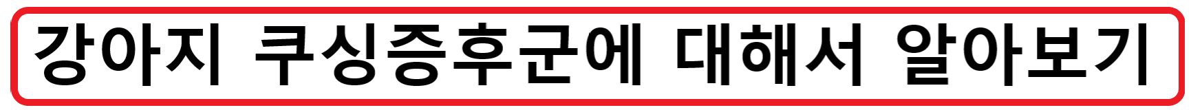 강아지 심장비대증? 우리집 강아지의 상태가 갑자기 안좋아졌다면 심장비대증을 의심해봐야해요!