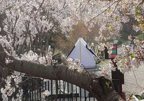 무주홀리데이파크