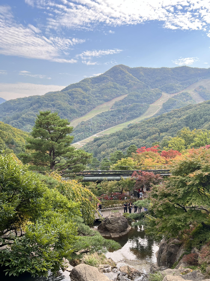 화담숲 색채원