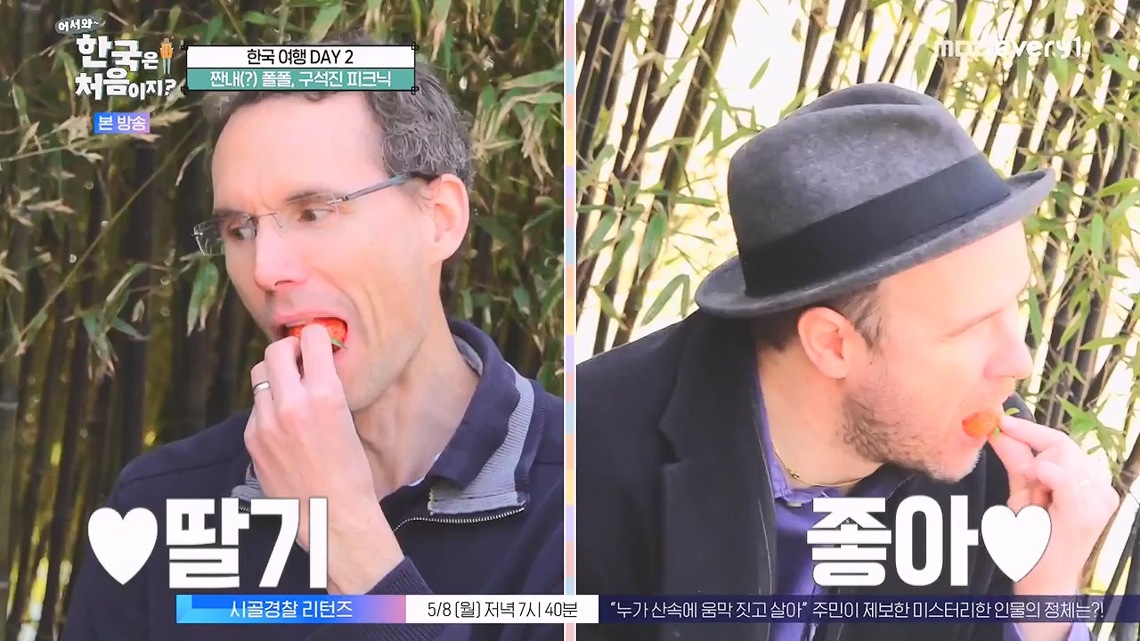 어서와 한국은 처음이지 시즌2.E261.230505p-NEXT.mp4_20230505_175307.404.jpg